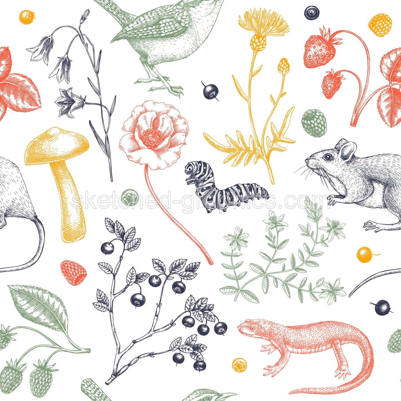 Summer background in color. Floral texture design. Wildlife sketches. Wildflowers seamless pattern. Hand-drawn illustration of field flowers, birds, and animals for wedding invitation, textile, cards Illustration